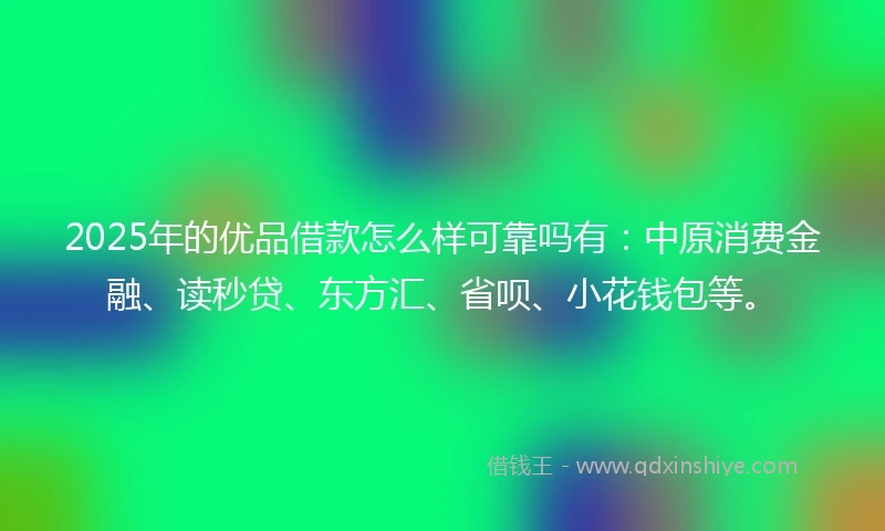2025年的优品借款怎么样可靠吗有：中原消费金融、读秒贷、东方汇、省呗、小花钱包等。