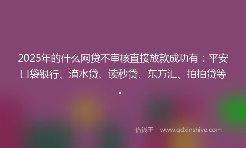 2025年的什么网贷不审核直接放款成功有：平安口袋银行、滴水贷、读秒贷、东方汇、拍拍贷等。