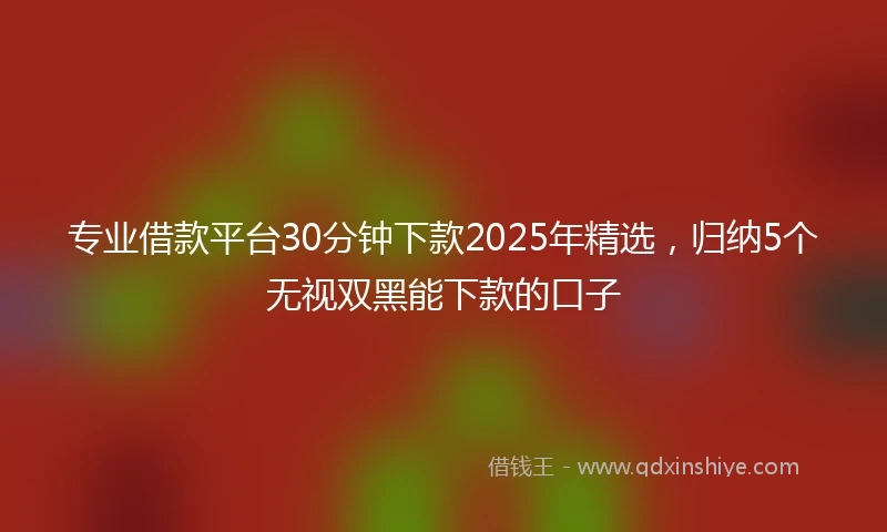 专业借款平台30分钟下款2025年精选，归纳5个无视双黑能下款的口子