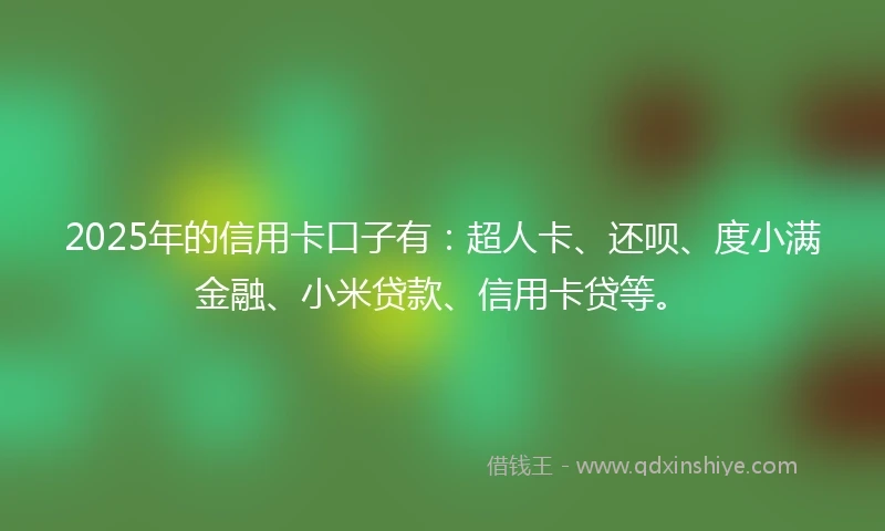 2025年的信用卡口子有：超人卡、还呗、度小满金融、小米贷款、信用卡贷等。