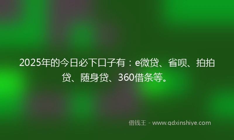 2025年的今日必下口子有：e微贷、省呗、拍拍贷、随身贷、360借条等。