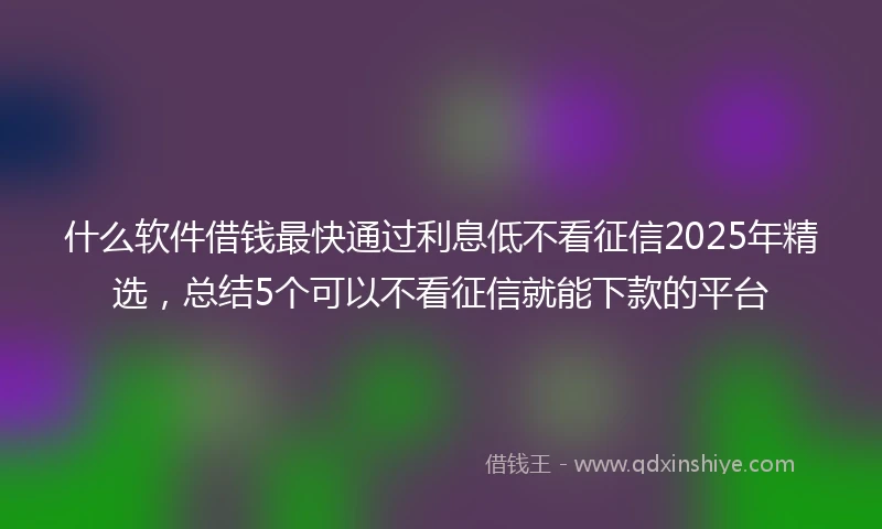 什么软件借钱最快通过利息低不看征信2025年精选，总结5个可以不看征信就能下款的平台