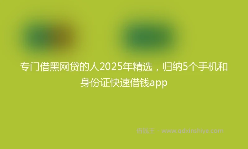 专门借黑网贷的人2025年精选，归纳5个手机和身份证快速借钱app