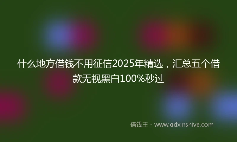 什么地方借钱不用征信2025年精选，汇总五个借款无视黑白100%秒过