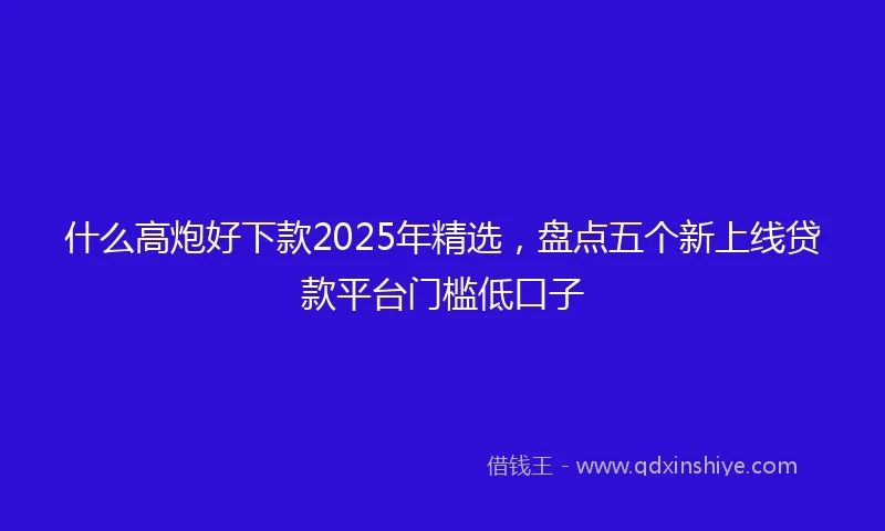 什么高炮好下款2025年精选，盘点五个新上线贷款平台门槛低口子