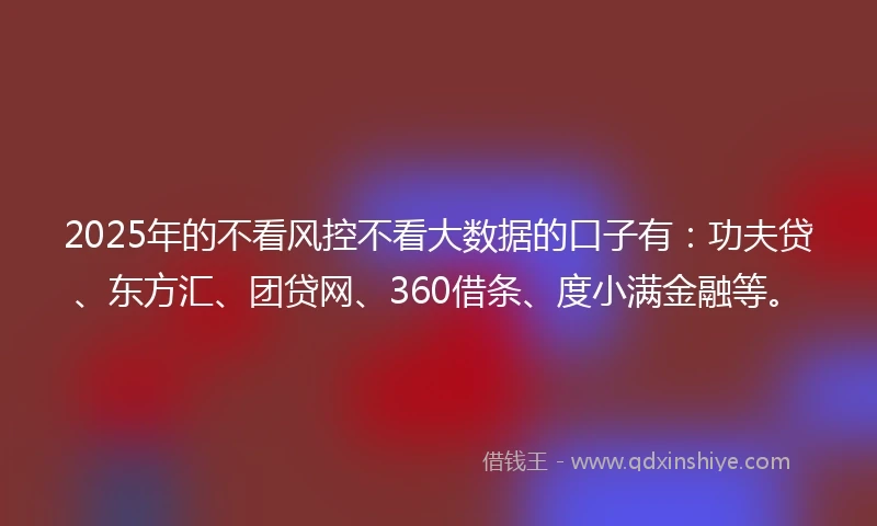 2025年的不看风控不看大数据的口子有：功夫贷、东方汇、团贷网、360借条、度小满金融等。