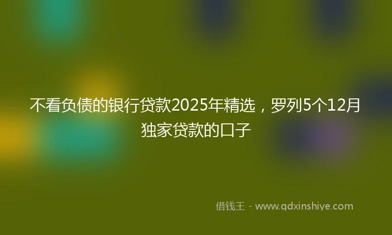 不看负债的银行贷款2025年精选，罗列5个12月独家贷款的口子