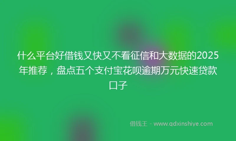什么平台好借钱又快又不看征信和大数据的2025年推荐，盘点五个支付宝花呗逾期万元快速贷款口子