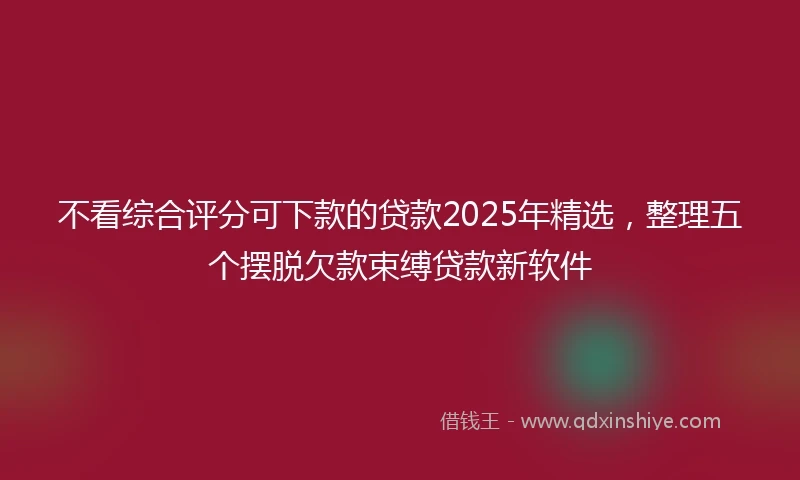 不看综合评分可下款的贷款2025年精选，整理五个摆脱欠款束缚贷款新软件