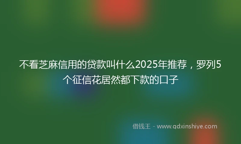不看芝麻信用的贷款叫什么2025年推荐，罗列5个征信花居然都下款的口子