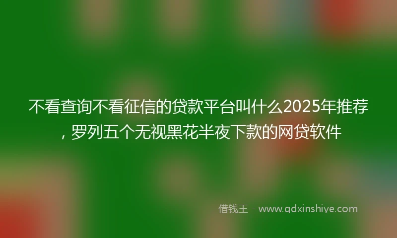 不看查询不看征信的贷款平台叫什么2025年推荐，罗列五个无视黑花半夜下款的网贷软件