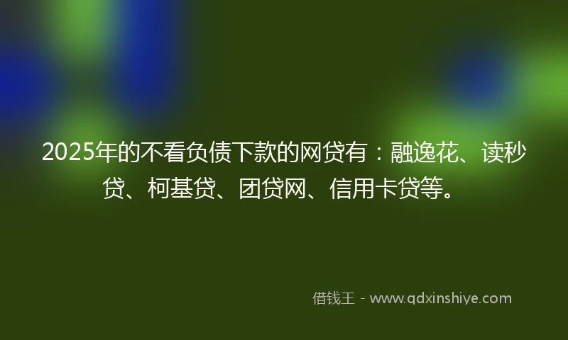 2025年的不看负债下款的网贷有：融逸花、读秒贷、柯基贷、团贷网、信用卡贷等。