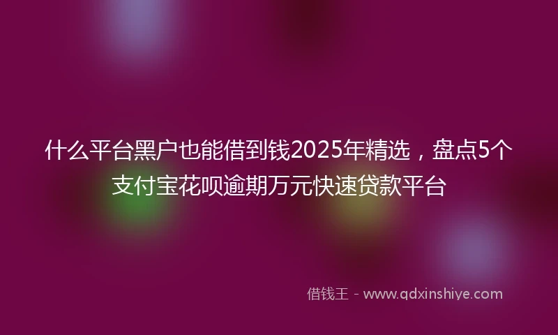 什么平台黑户也能借到钱2025年精选，盘点5个支付宝花呗逾期万元快速贷款平台