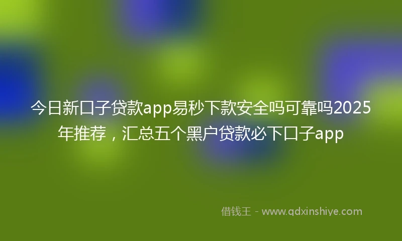 今日新口子贷款app易秒下款安全吗可靠吗2025年推荐，汇总五个黑户贷款必下口子app