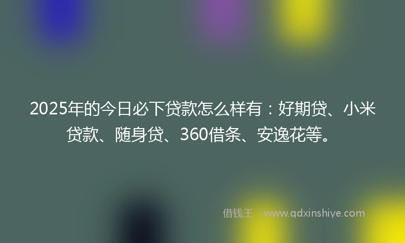 2025年的今日必下贷款怎么样有：好期贷、小米贷款、随身贷、360借条、安逸花等。