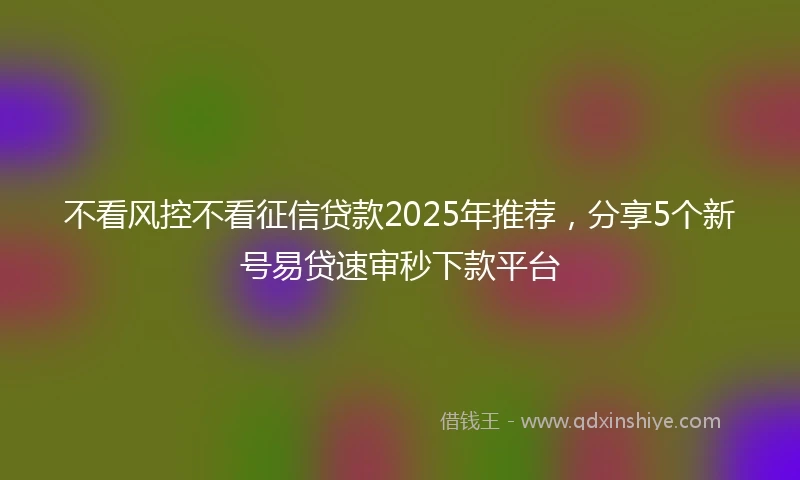 不看风控不看征信贷款2025年推荐，分享5个新号易贷速审秒下款平台