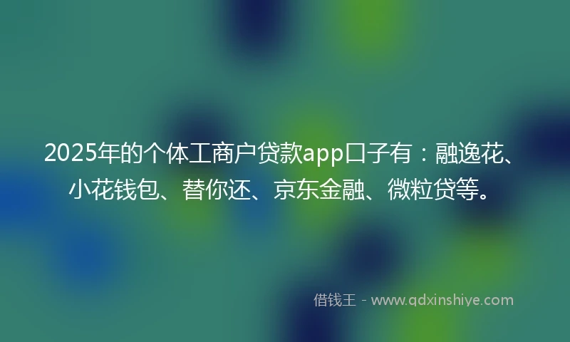 2025年的个体工商户贷款app口子有：融逸花、小花钱包、替你还、京东金融、微粒贷等。