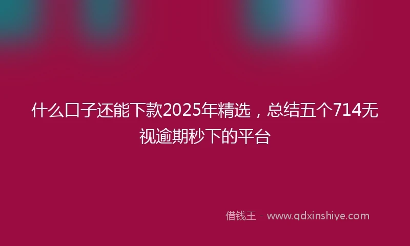 什么口子还能下款2025年精选，总结五个714无视逾期秒下的平台