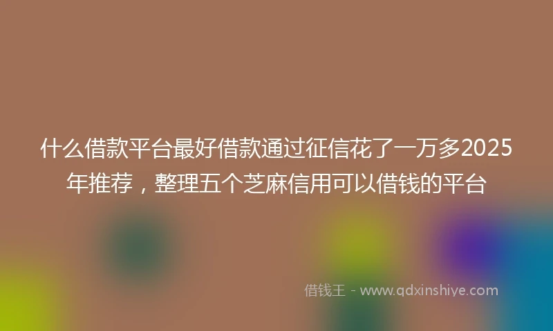 什么借款平台最好借款通过征信花了一万多2025年推荐，整理五个芝麻信用可以借钱的平台