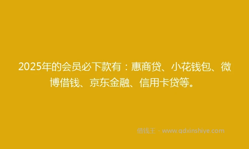 2025年的会员必下款有：惠商贷、小花钱包、微博借钱、京东金融、信用卡贷等。