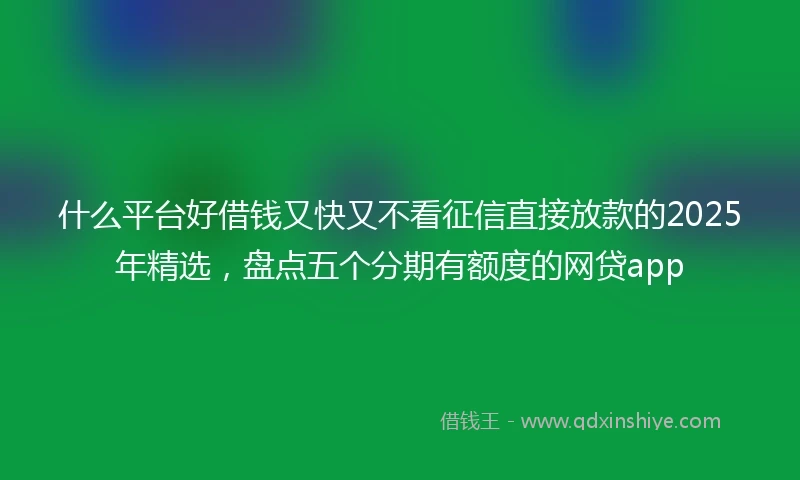 什么平台好借钱又快又不看征信直接放款的2025年精选，盘点五个分期有额度的网贷app