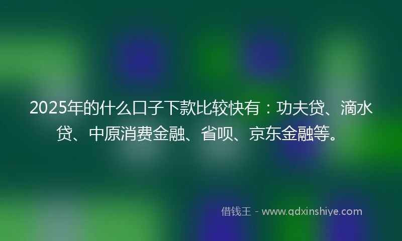 2025年的什么口子下款比较快有：功夫贷、滴水贷、中原消费金融、省呗、京东金融等。