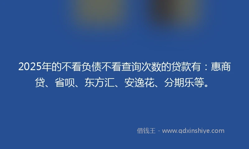 2025年的不看负债不看查询次数的贷款有：惠商贷、省呗、东方汇、安逸花、分期乐等。