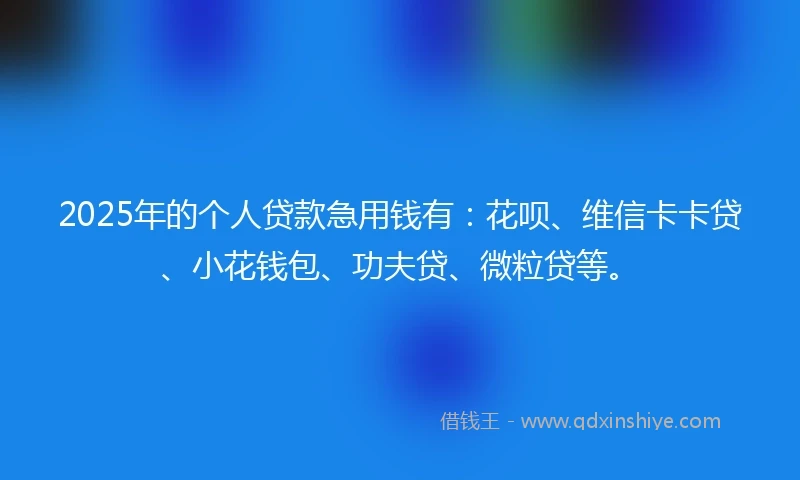 2025年的个人贷款急用钱有：花呗、维信卡卡贷、小花钱包、功夫贷、微粒贷等。