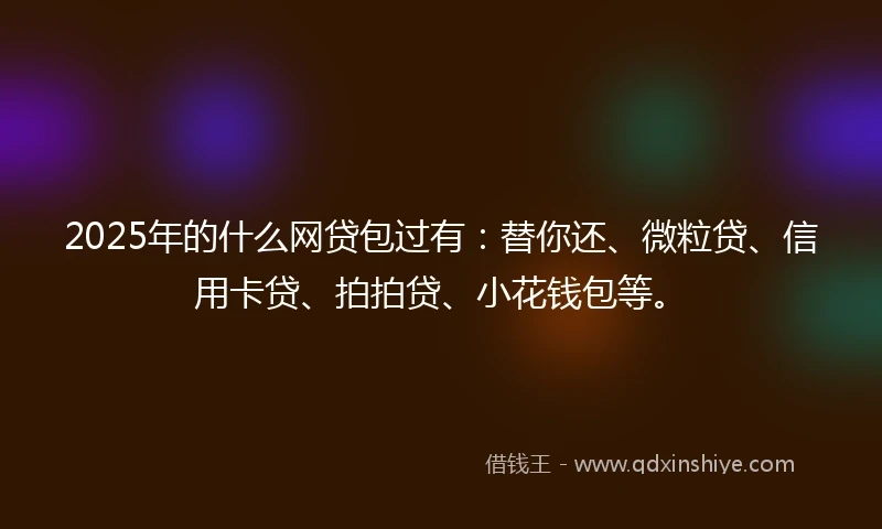 2025年的什么网贷包过有：替你还、微粒贷、信用卡贷、拍拍贷、小花钱包等。