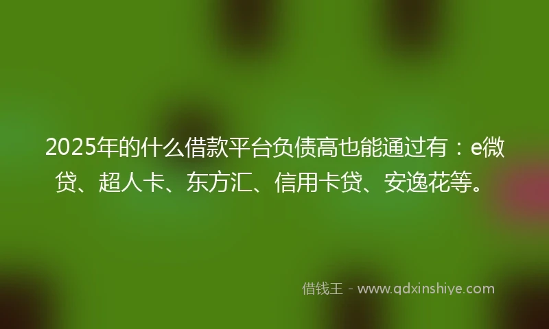 2025年的什么借款平台负债高也能通过有：e微贷、超人卡、东方汇、信用卡贷、安逸花等。