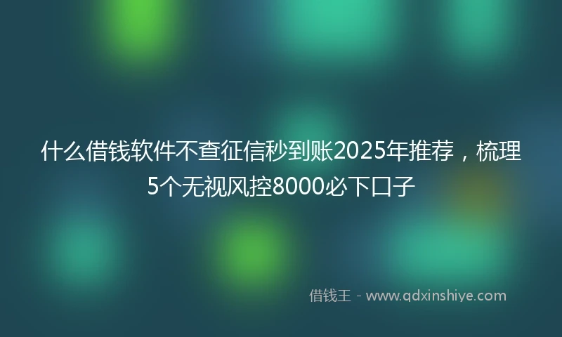 什么借钱软件不查征信秒到账2025年推荐，梳理5个无视风控8000必下口子