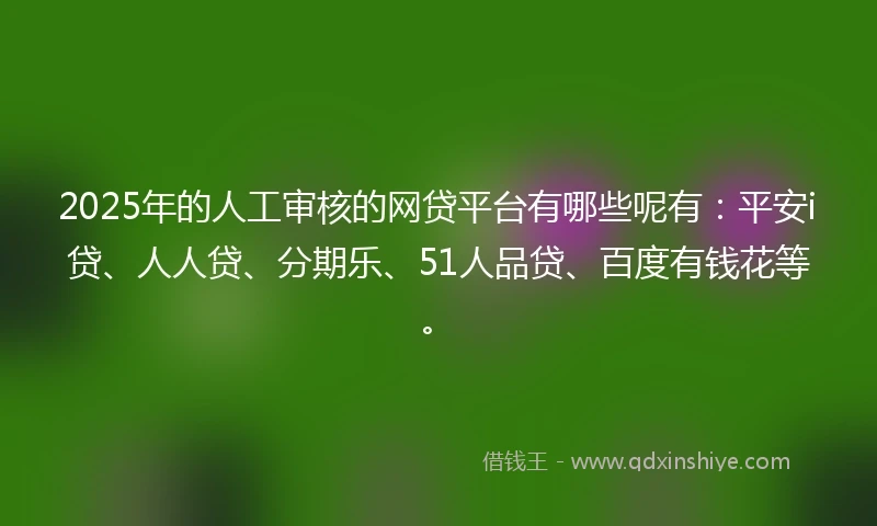 2025年的人工审核的网贷平台有哪些呢有：平安i贷、人人贷、分期乐、51人品贷、百度有钱花等。