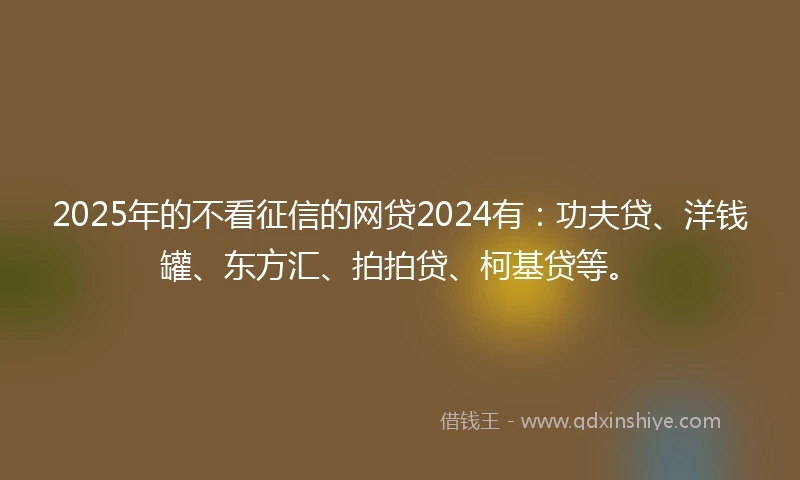 2025年的不看征信的网贷2024有：功夫贷、洋钱罐、东方汇、拍拍贷、柯基贷等。