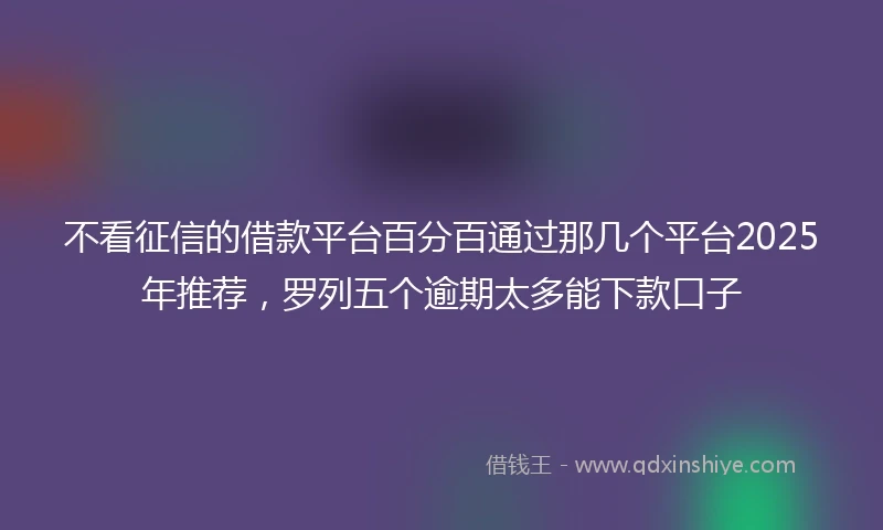 不看征信的借款平台百分百通过那几个平台2025年推荐，罗列五个逾期太多能下款口子