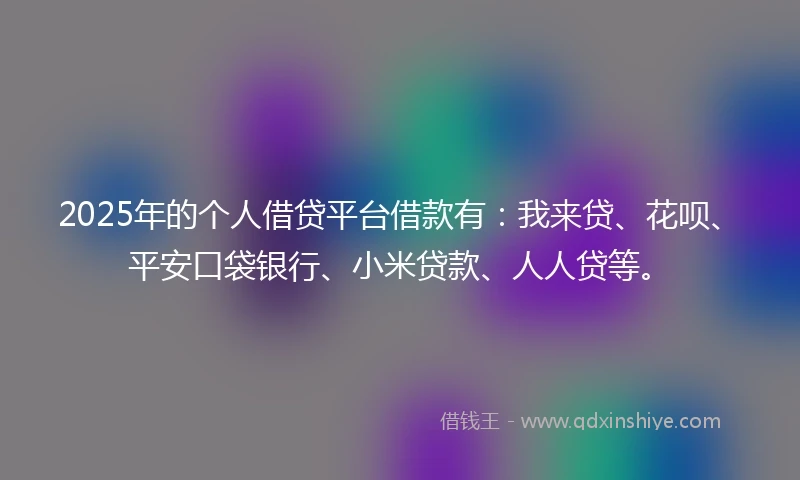 2025年的个人借贷平台借款有：我来贷、花呗、平安口袋银行、小米贷款、人人贷等。
