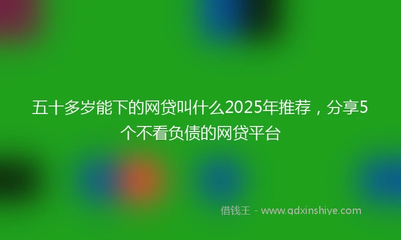 五十多岁能下的网贷叫什么2025年推荐，分享5个不看负债的网贷平台