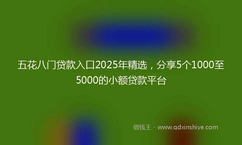 五花八门贷款入口2025年精选，分享5个1000至5000的小额贷款平台