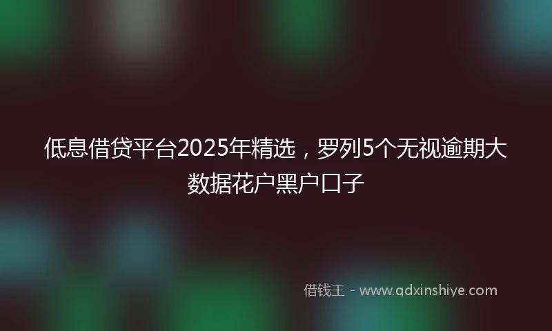 低息借贷平台2025年精选，罗列5个无视逾期大数据花户黑户口子