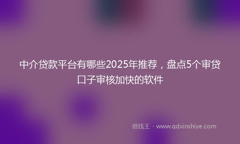 中介贷款平台有哪些2025年推荐，盘点5个审贷口子审核加快的软件