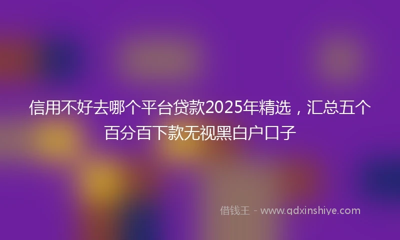 信用不好去哪个平台贷款2025年精选，汇总五个百分百下款无视黑白户口子