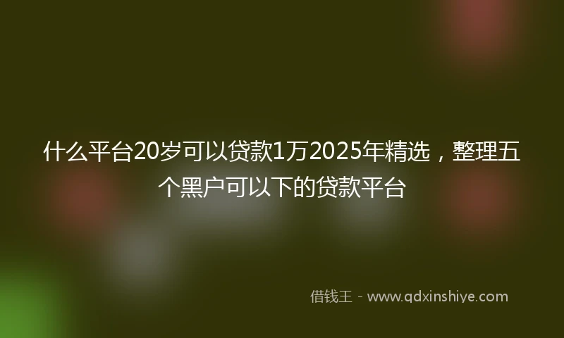 什么平台20岁可以贷款1万2025年精选，整理五个黑户可以下的贷款平台