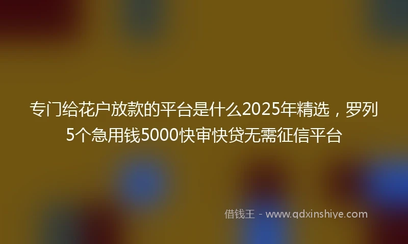 专门给花户放款的平台是什么2025年精选，罗列5个急用钱5000快审快贷无需征信平台