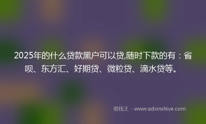 2025年的什么贷款黑户可以贷,随时下款的有：省呗、东方汇、好期贷、微粒贷、滴水贷等。
