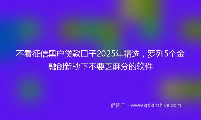 不看征信黑户贷款口子2025年精选，罗列5个金融创新秒下不要芝麻分的软件