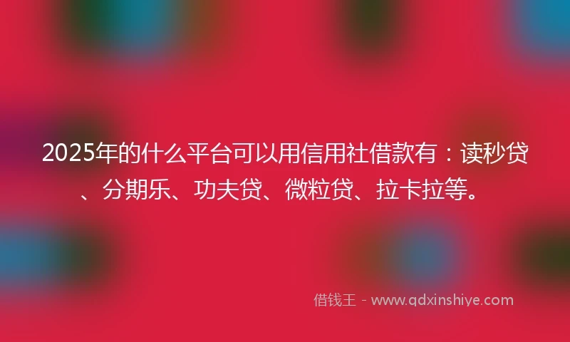2025年的什么平台可以用信用社借款有：读秒贷、分期乐、功夫贷、微粒贷、拉卡拉等。
