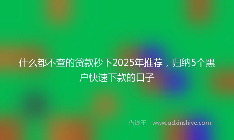 什么都不查的贷款秒下2025年推荐，归纳5个黑户快速下款的口子