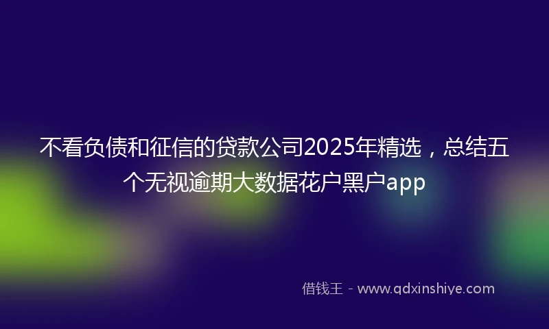 不看负债和征信的贷款公司2025年精选，总结五个无视逾期大数据花户黑户app