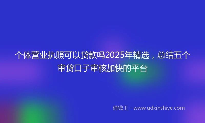 个体营业执照可以贷款吗2025年精选，总结五个审贷口子审核加快的平台