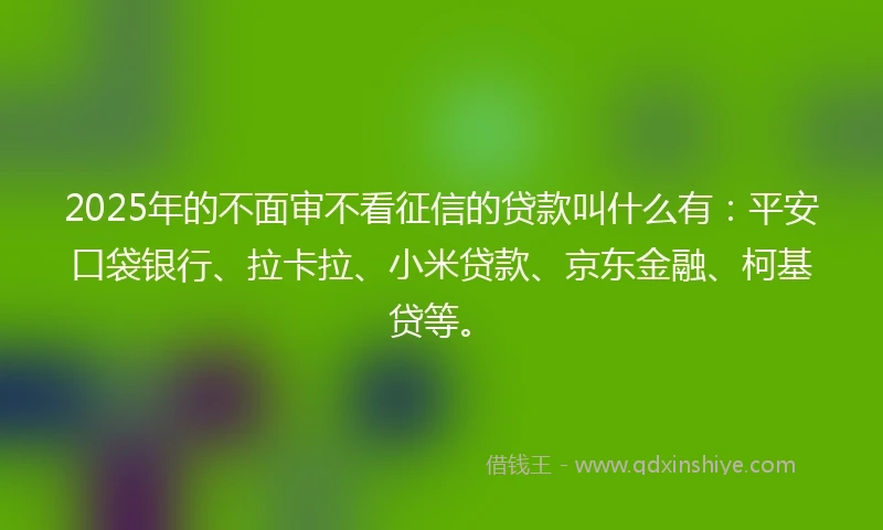 2025年的不面审不看征信的贷款叫什么有：平安口袋银行、拉卡拉、小米贷款、京东金融、柯基贷等。