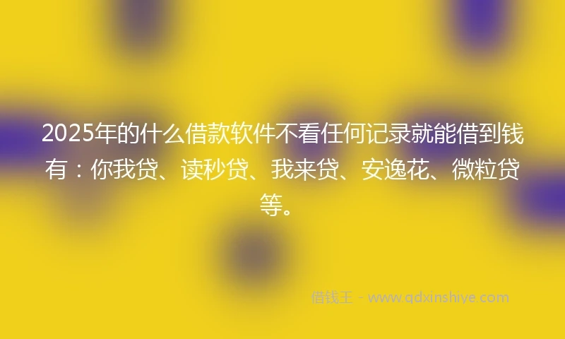 2025年的什么借款软件不看任何记录就能借到钱有：你我贷、读秒贷、我来贷、安逸花、微粒贷等。